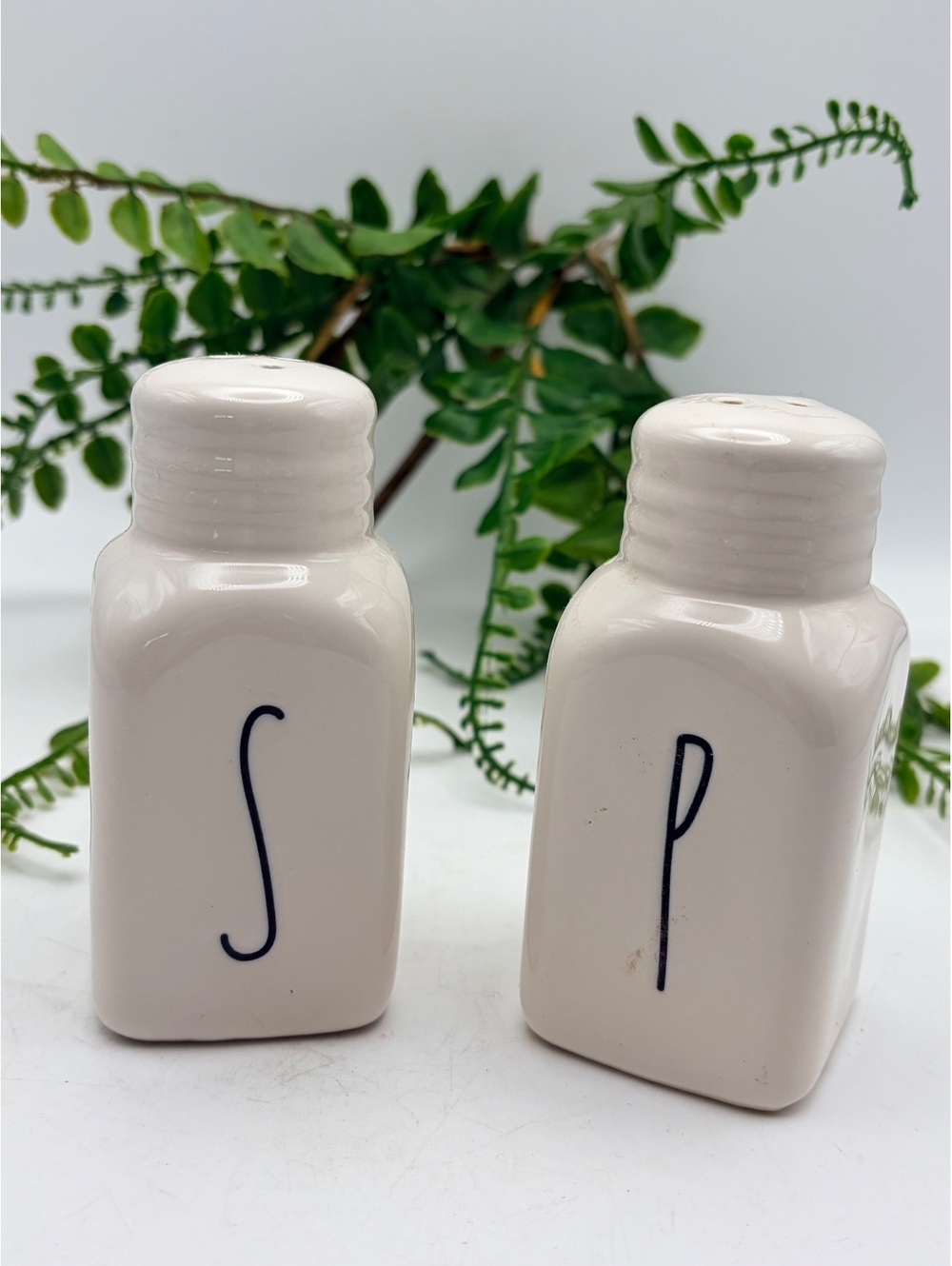 Rae Dunn salt and pepper shakers. Beautiful condition no chips. No damage